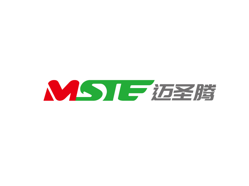 張俊的MSTE 邁圣騰logo設(shè)計