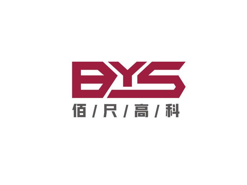 李寧的BYS ----佰尺高科(北京)科技有限公司logo設(shè)計(jì)