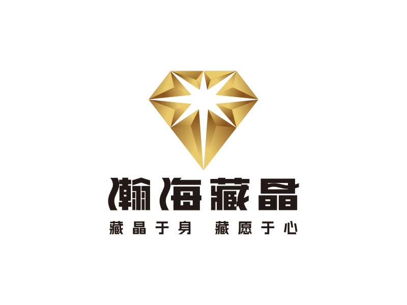 譚家強的瀚海藏晶logo設計