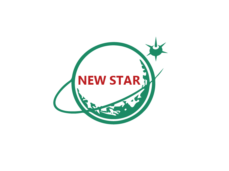 秦光華的新星logo設(shè)計